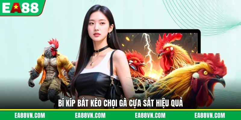 Bí kíp bắt kèo chọi gà cựa sắt hiệu quả