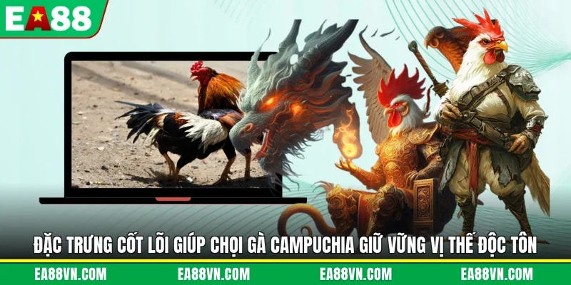 Đặc trưng cốt lõi giúp chọi gà campuchia giữ vững vị thế độc tôn