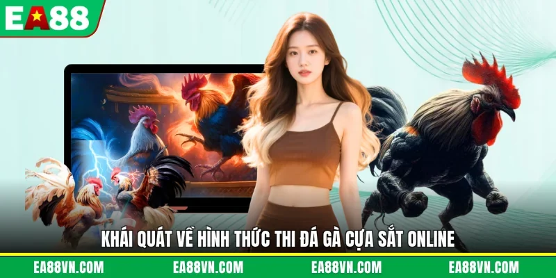 Khái quát về hình thức thi đá gà cựa sắt online