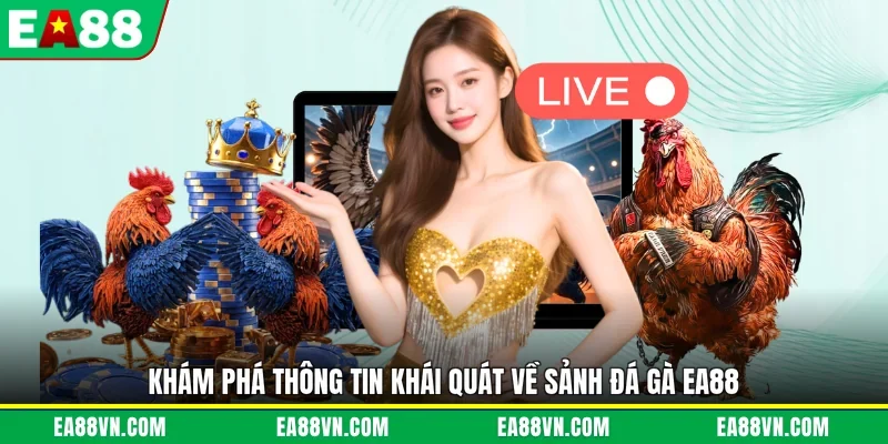 Khám phá thông tin khái quát về sảnh đá gà EA88