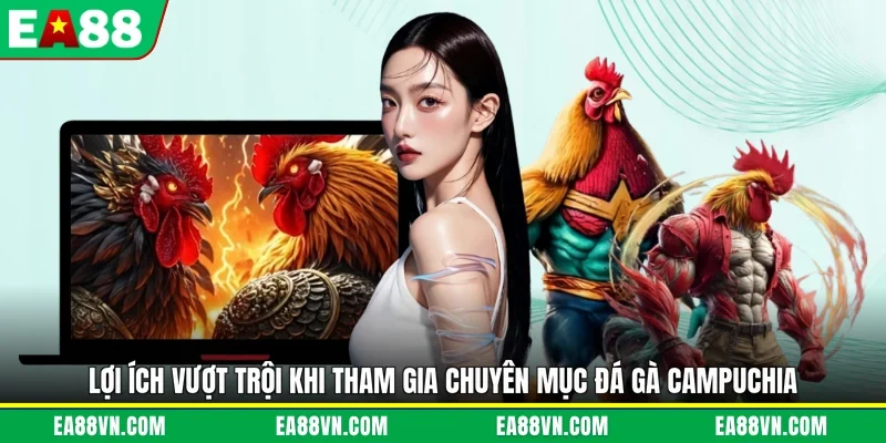 Lợi ích vượt trội khi tham gia chuyên mục đá gà campuchia
