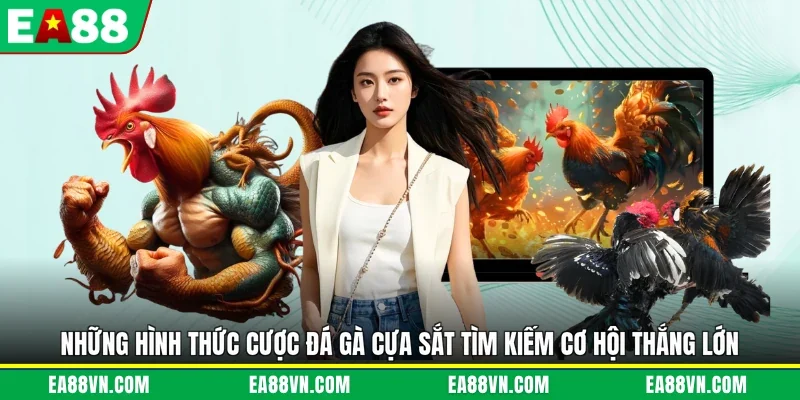 Những hình thức cược đá gà cựa sắt tìm kiếm cơ hội thắng lớn