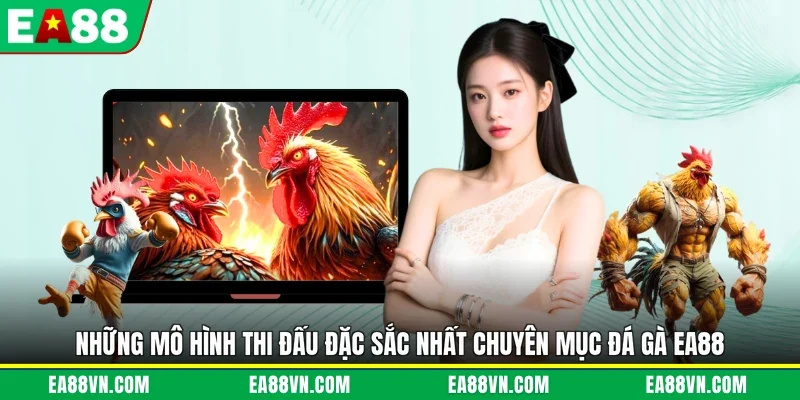 Những mô hình thi đấu đặc sắc nhất chuyên mục đá gà EA88