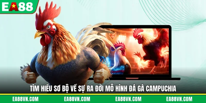 Tìm hiểu sơ bộ về sự ra đời mô hình đá gà campuchia